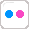 flickr icon